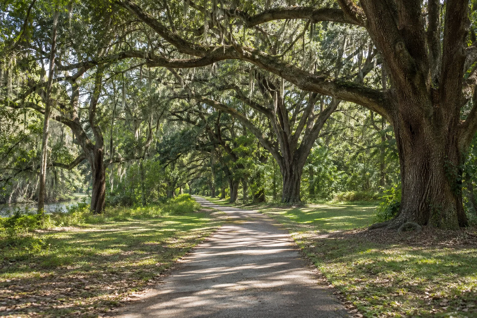 AI-generated representative image of hiking trails; not a photograph of Poche.