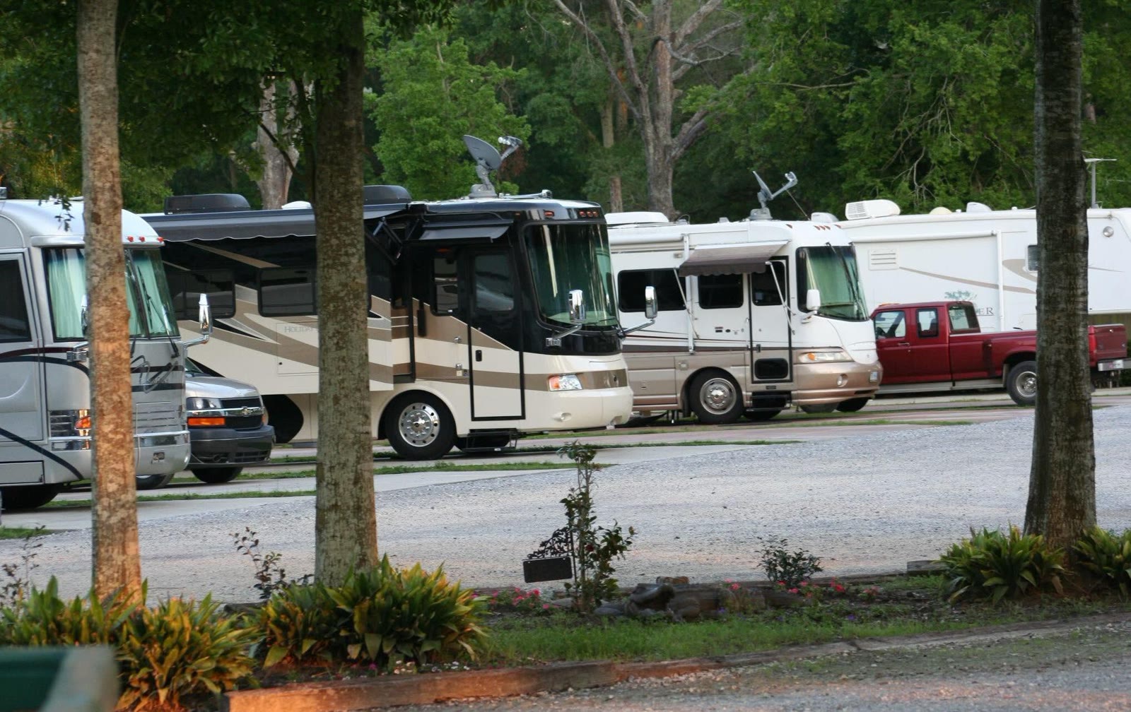 RVs among the trees at Sugar Hill.